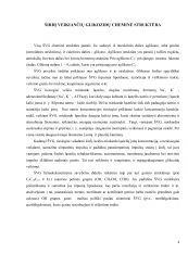 www.speros.lt